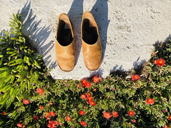 Yellow leather slippers