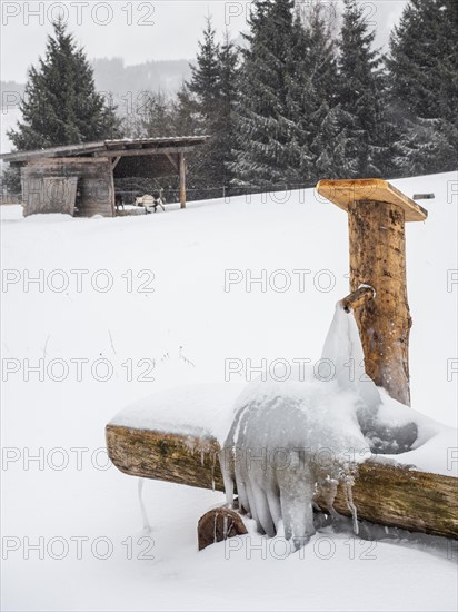 Water frozen to ice at a fountain