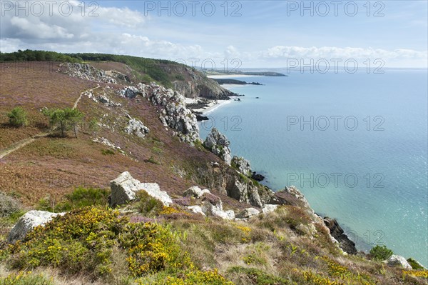 Rocky coast