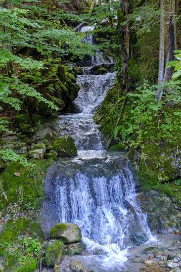 Gassenbach waterfall at the Rosengasse