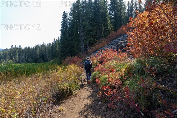 Hikers on a trail in the forest to Marion Lake