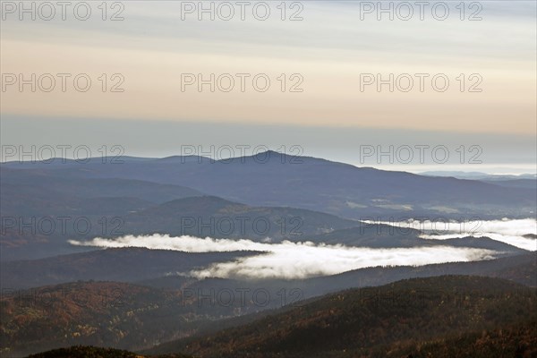 Panoramic view