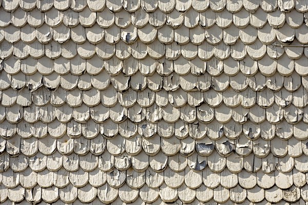 pattern of old wooden shingles with peeling paint