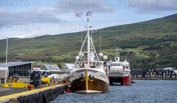 Boats Akureyri harbour