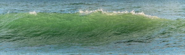 Green wave on a sandy ocean beach. Atlantic coast near Les Sables d'Olonne