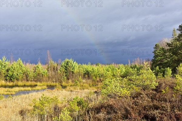 Autumn storm with rainbow in moor landscape