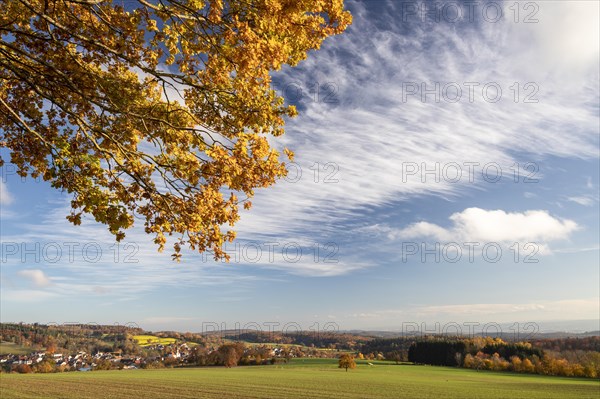 Colourful autumn colours in the forest near Liggeringen