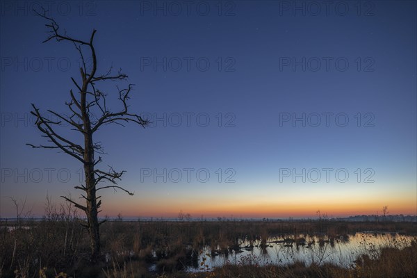 Goldenstedt Moor