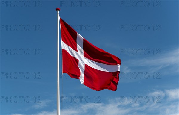 The Danish flag