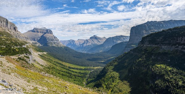 View over a valley with forest and mountain panorama
