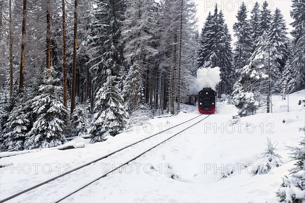 Brockenbahn in snowy forest