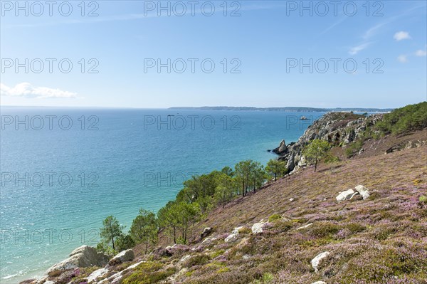 Rocky coast