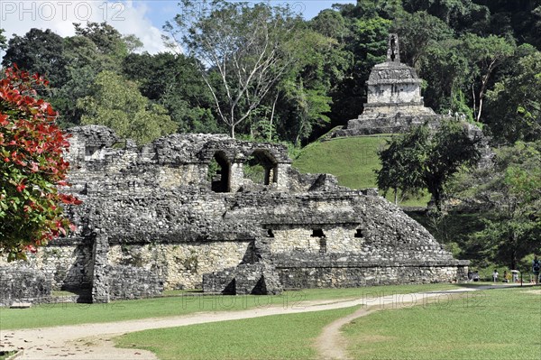 Pre-Columbian Maya site of Palenque