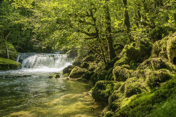 Waterfall and mossy rocks