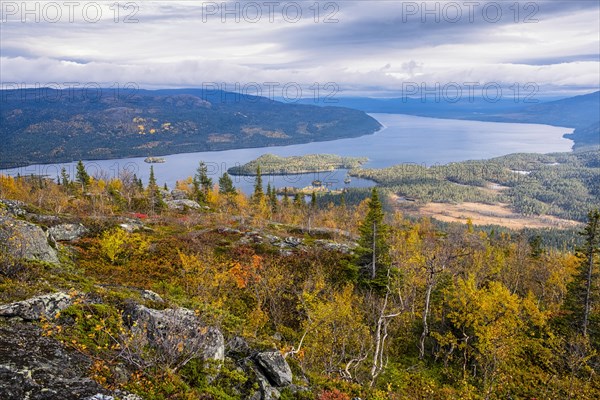 Autumn landscape