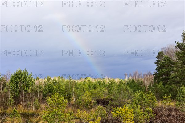 Autumn storm with rainbow in moor landscape