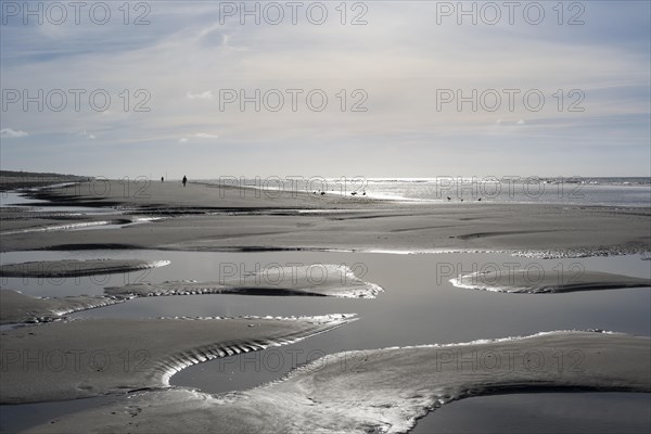 Walkers on the beach at low tide with tide pools