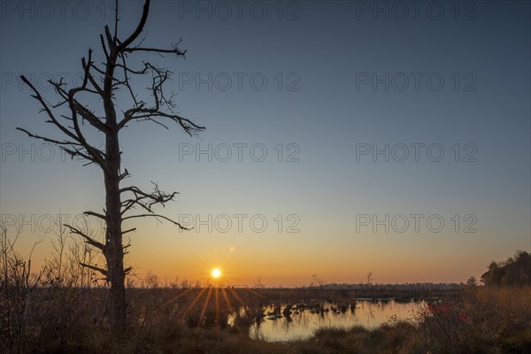 Goldenstedt Moor