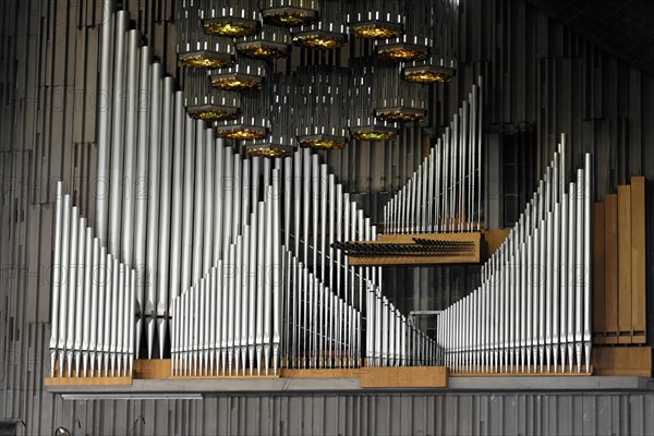 Organ