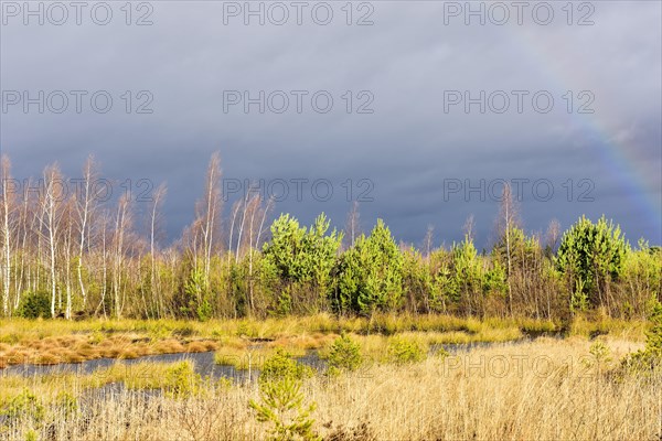 Autumn storm with rainbow in moor landscape