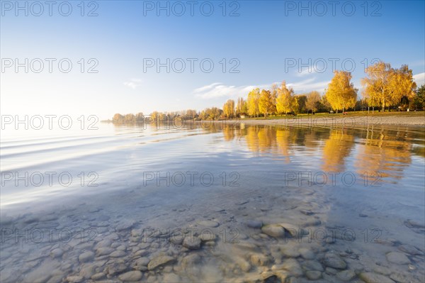 Bright autumn leaves in the afternoon on the shore in Hegne