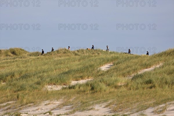 Riders in sand dunes