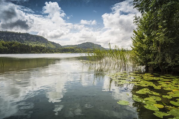 lake scenery