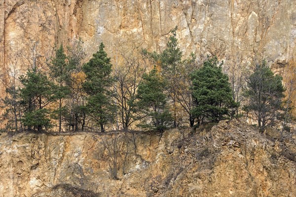 Disused porphyry quarry