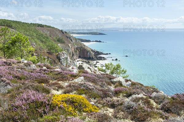 Rocky coast