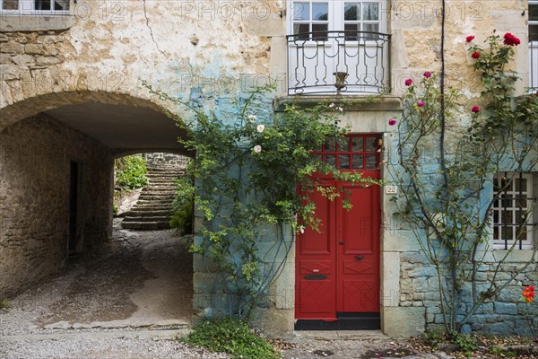 House facade with roses