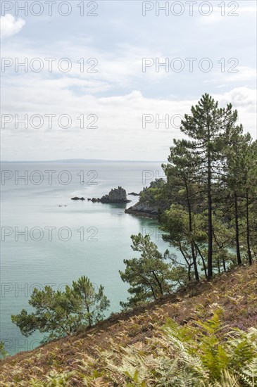 Rocks on the coast