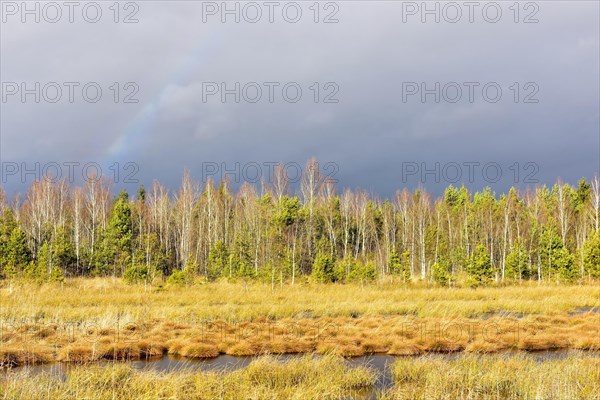 Autumn storm with rainbow in moor landscape