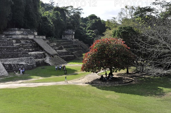 Pre-Columbian Maya site of Palenque