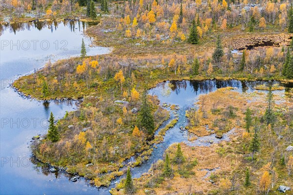 Autumn landscape