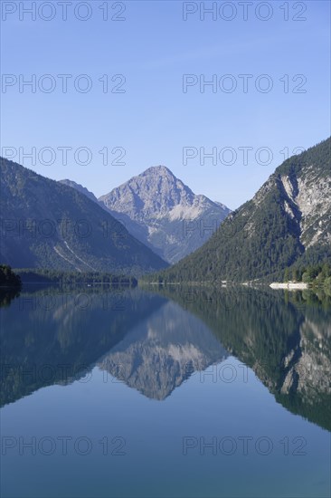 Plansee