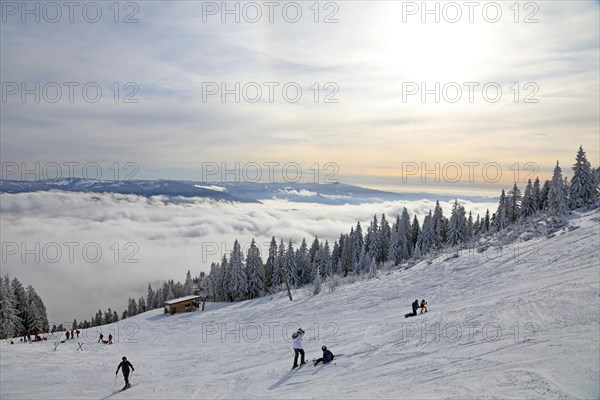 Snowy landscape