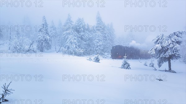 Brockenbahn in snowy landscape