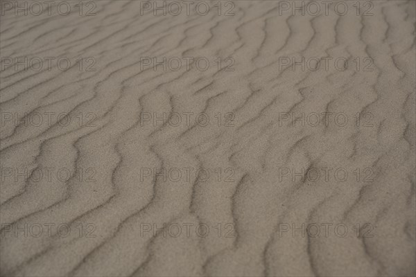 Sand with ripples
