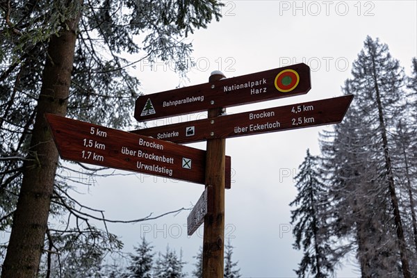 Signposts for hiking trails in the forest