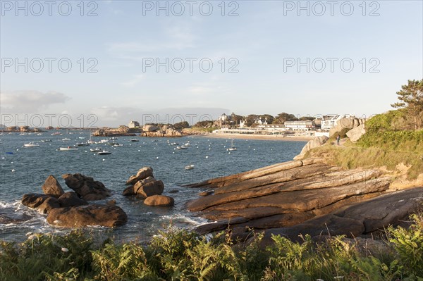 Rocks on the shore