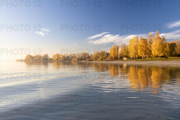 Bright autumn leaves in the afternoon on the shore in Hegne