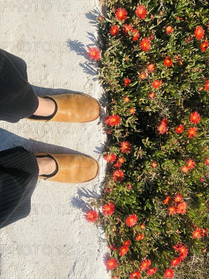 Feet with yellow leather slippers