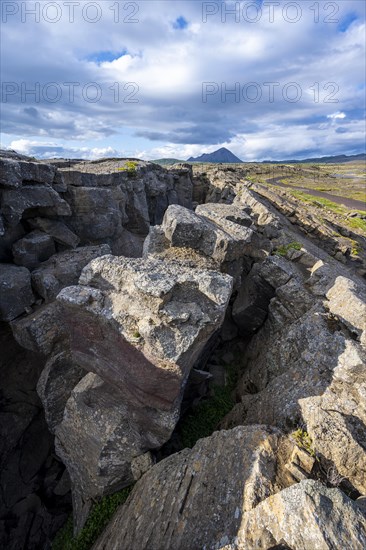 Continental rift between North American and Eurasian Plate