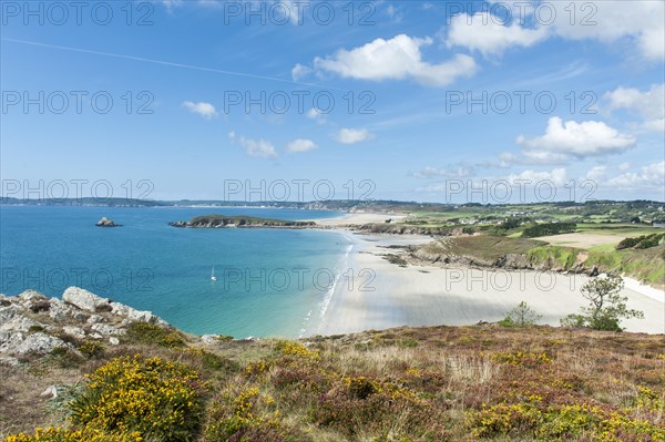 White sandy beach