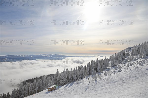 Snowy landscape