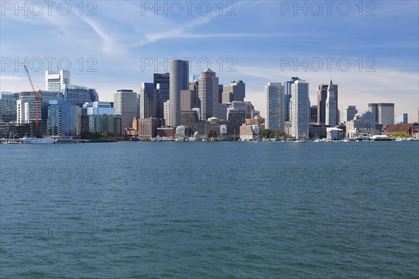Skyline with Skyscrapers