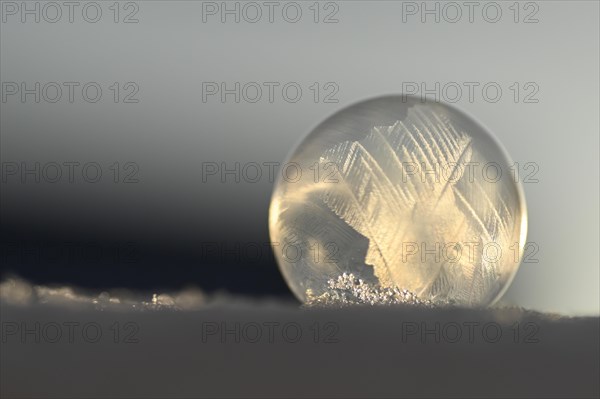 Frozen soap bubble in the snow
