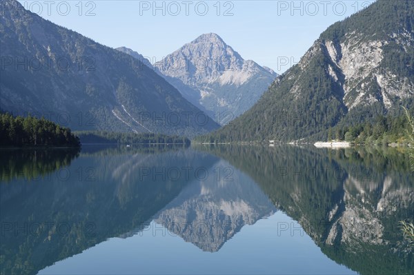 Plansee