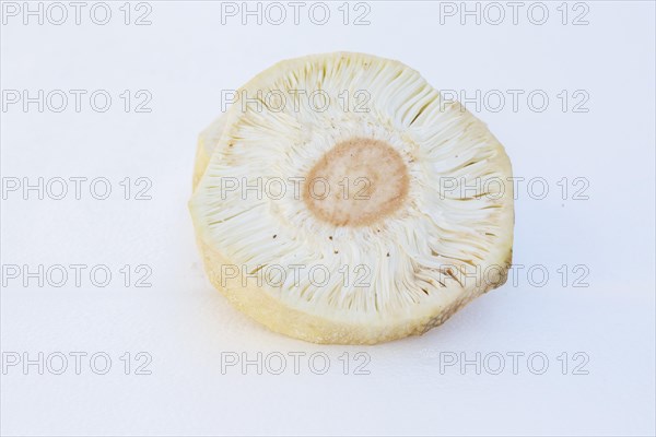 Macro photography of slice jackfruit (Artocarpus heterophyllus)