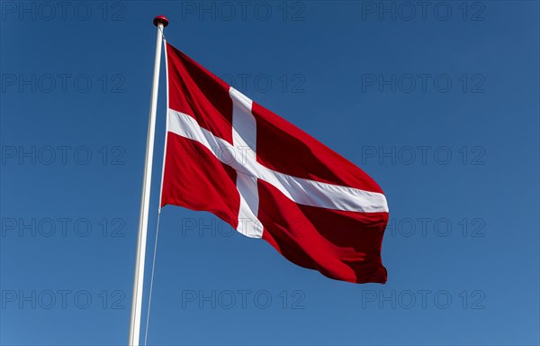 The Danish flag